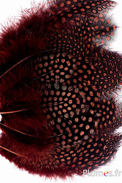 Parelhoen - 7-13 cm - chocolade